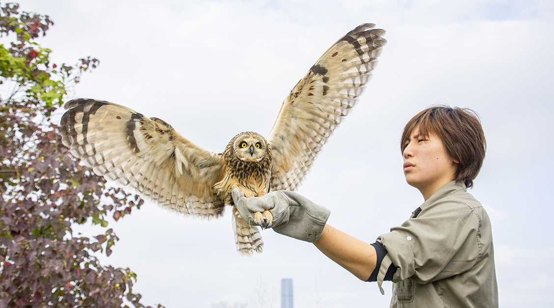 Wildlife Rescue